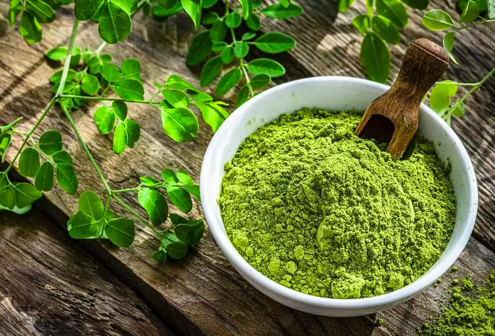 extracto de moringa componente esencial para la elaboración de Glucon